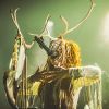 IMG_2305-Verbessert-RR