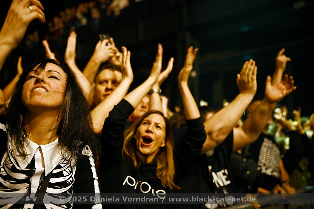 hives audience NZ84232 klein