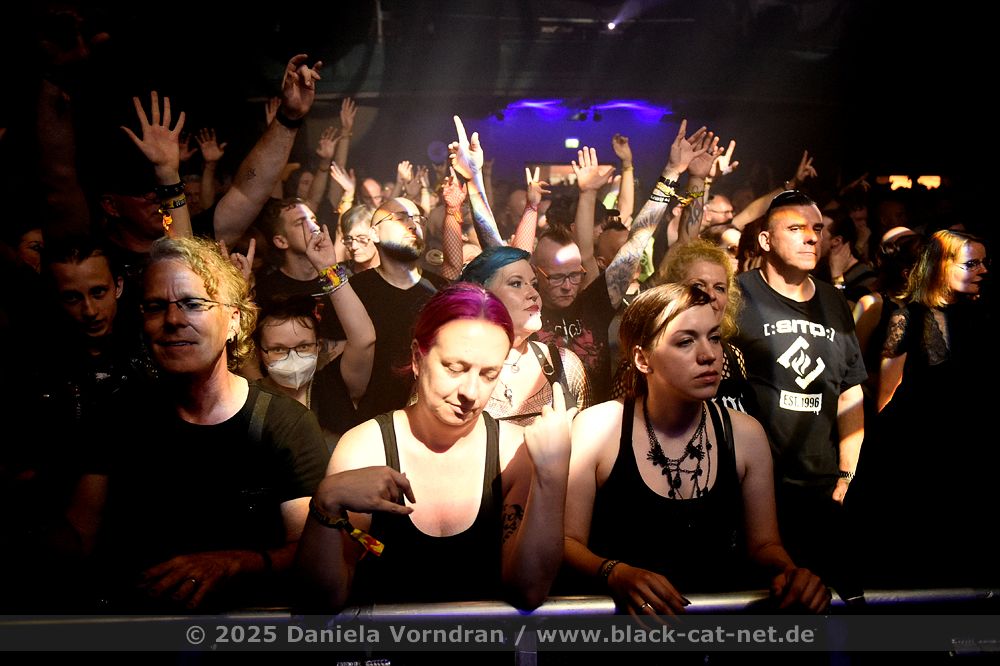 Amphi Festival