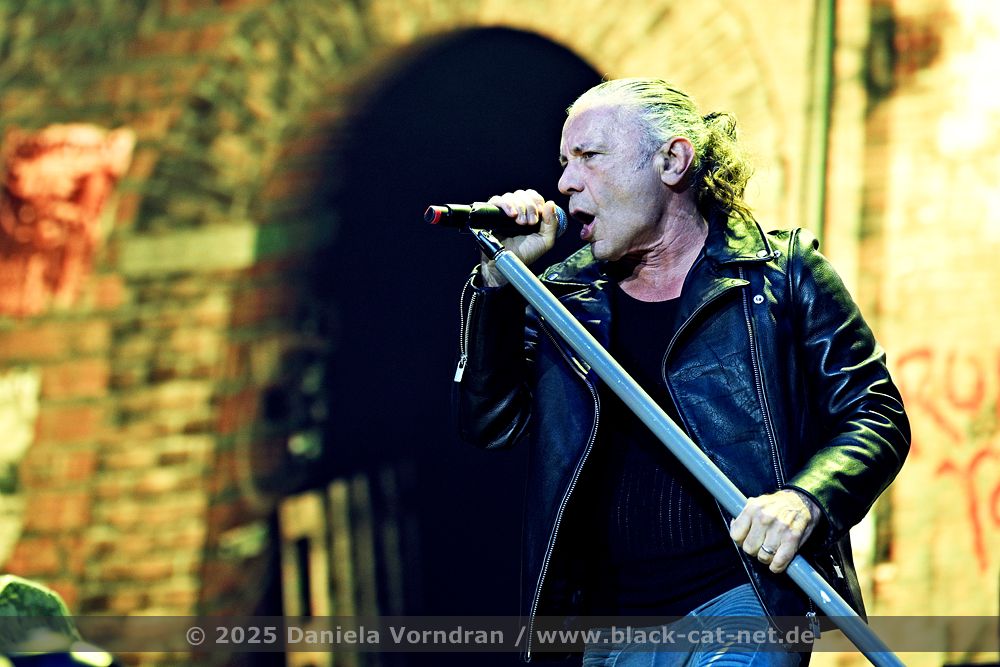 ironmaiden2 NZ85913 klein