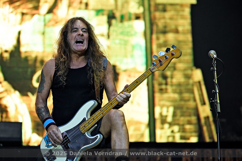 ironmaiden4 NZ85910 klein