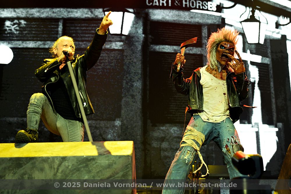 ironmaiden7 NZ85976 klein