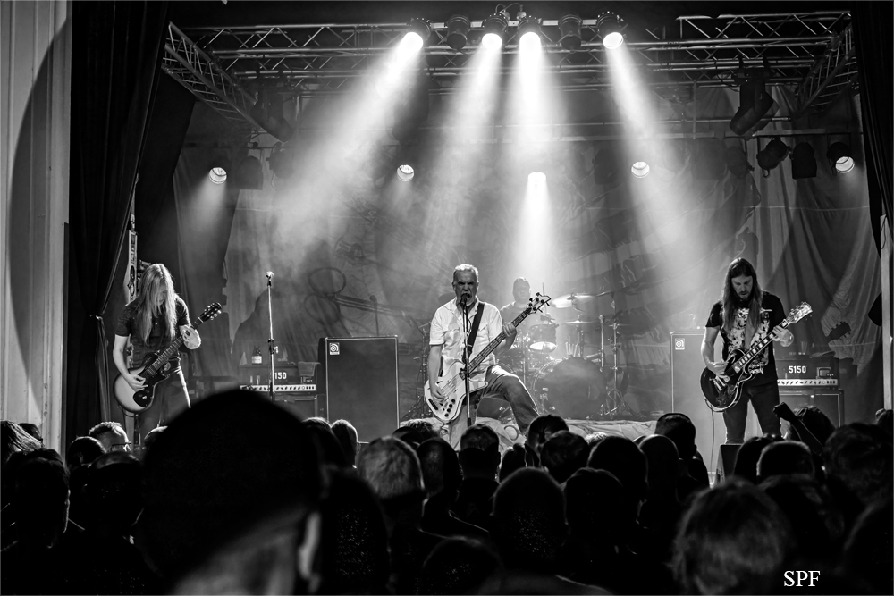 carcass
