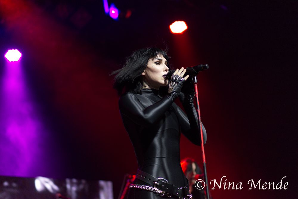 katvond byNinaMende DSC 6289