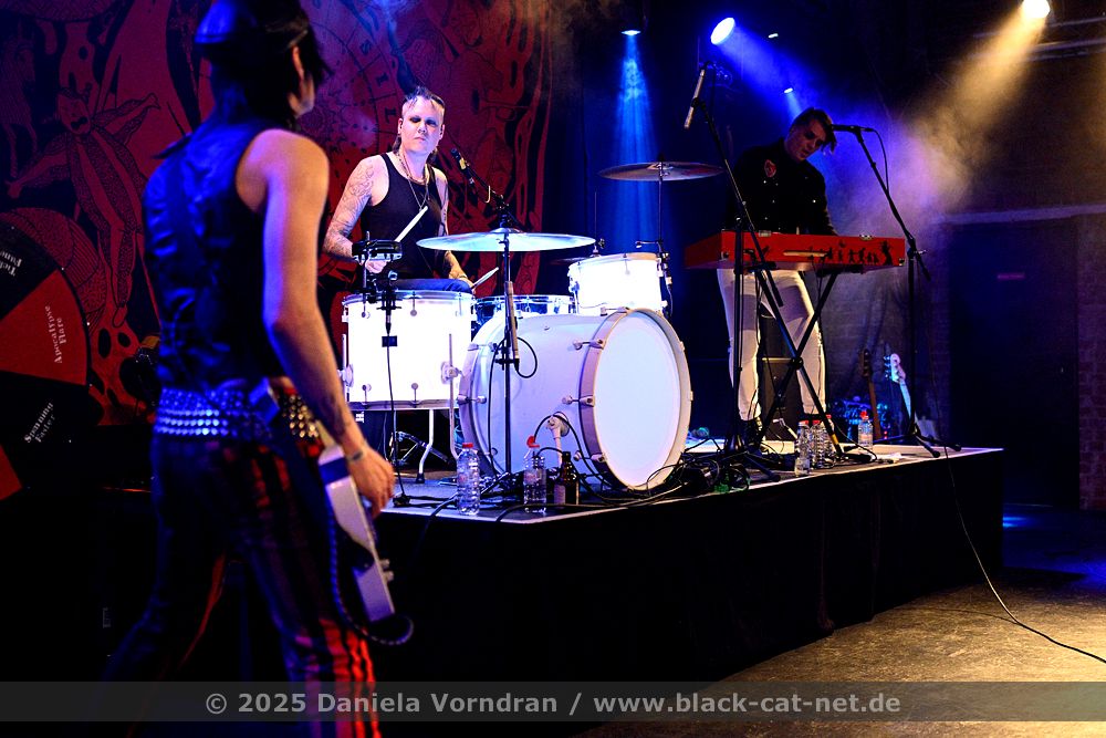 NZ83631 klein