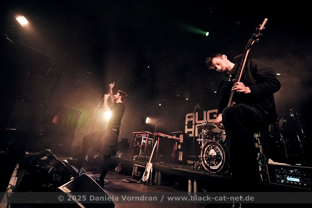 auger1 D4S3397 klein