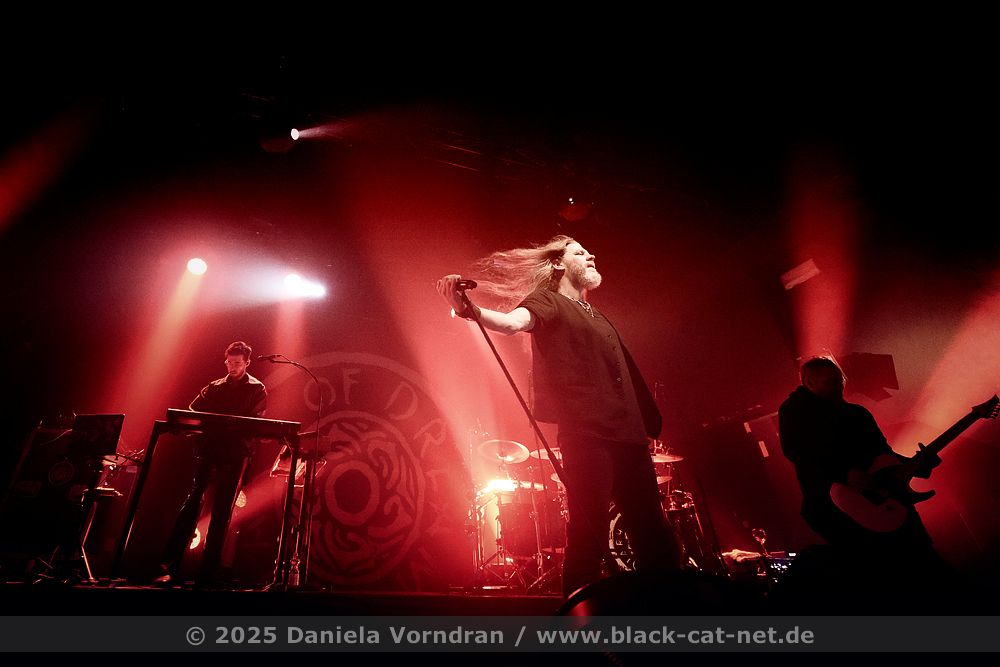 diaryofdreams02 D4S3563 klein