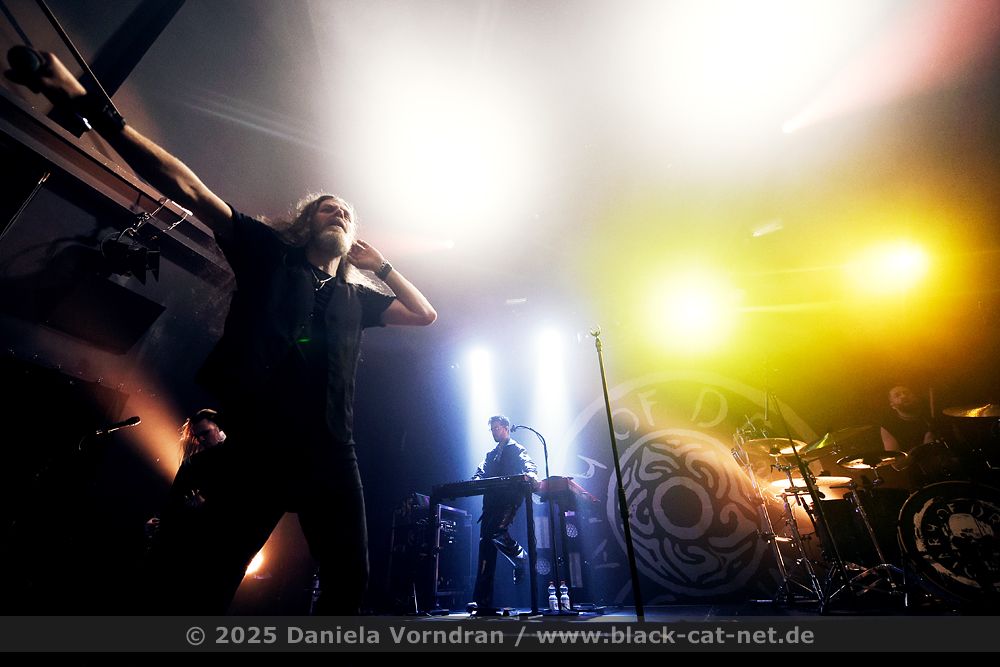 diaryofdreams12 D4S3740 klein