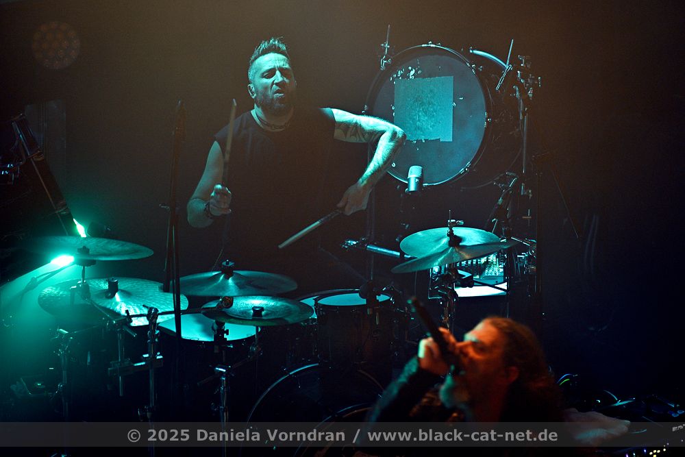 diaryofdreams15 NZ81207 klein