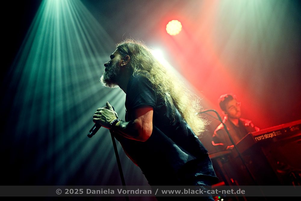 diaryofdreams20 NZ81491 klein