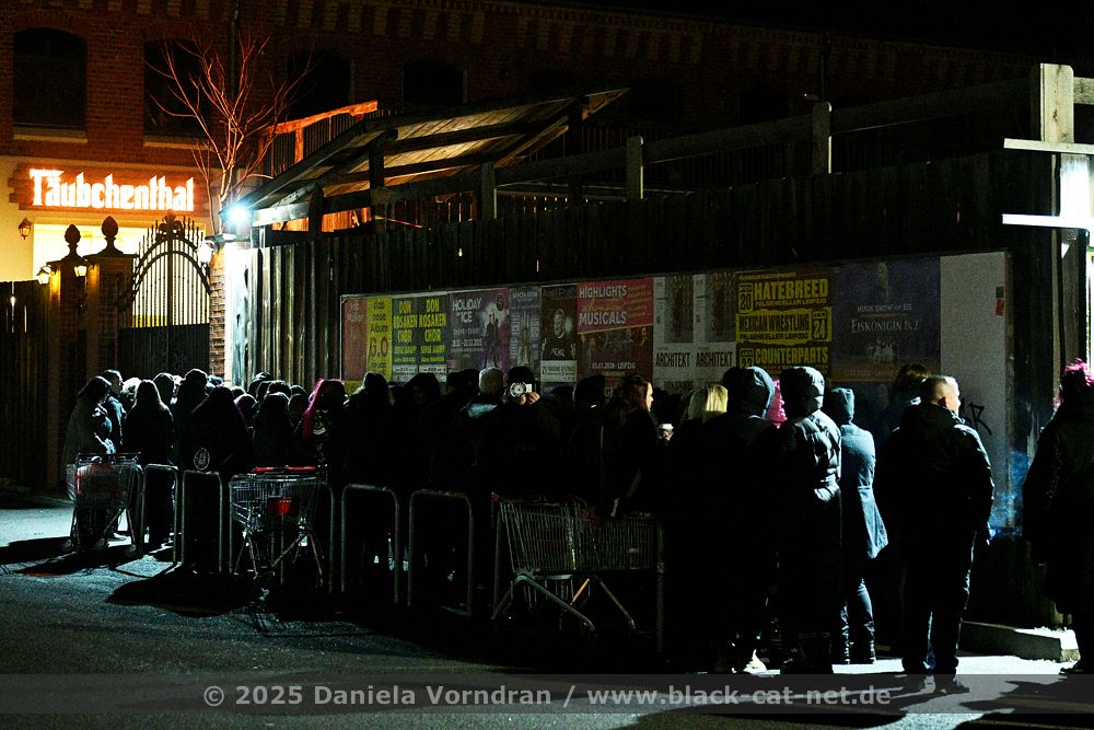 diaryofdreams impression2 NZ81029 klein