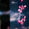 25_saschalange_D3S9329_klein