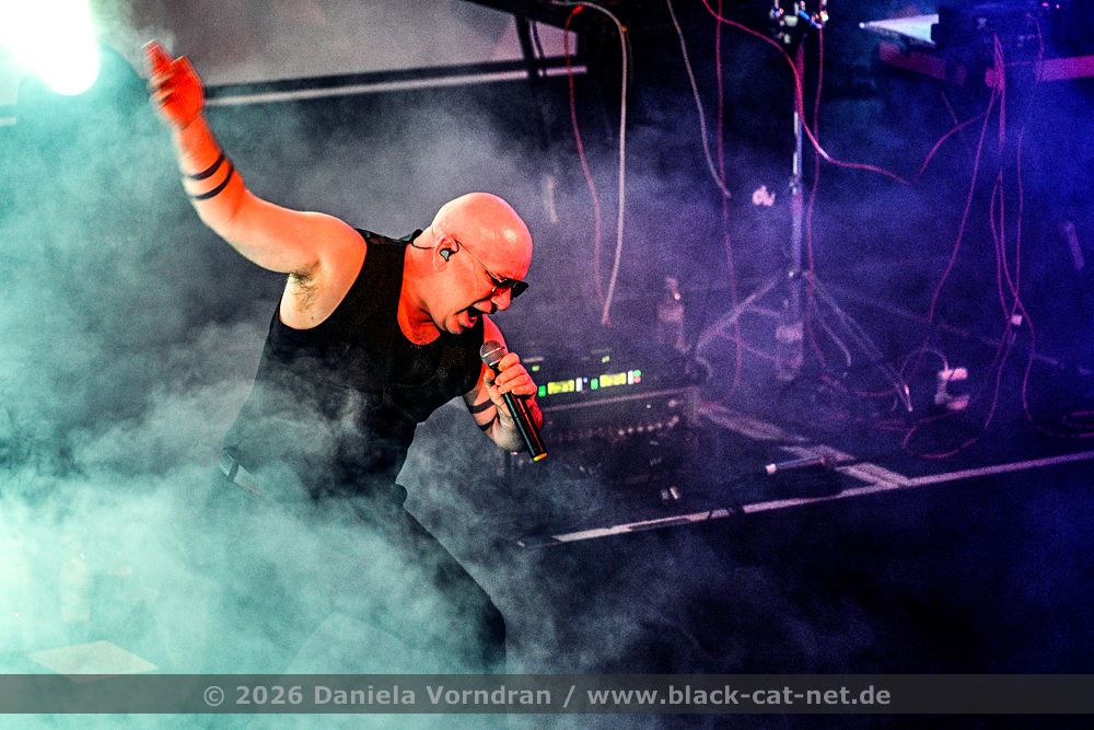 nitzerebb4 NZ82137 klein