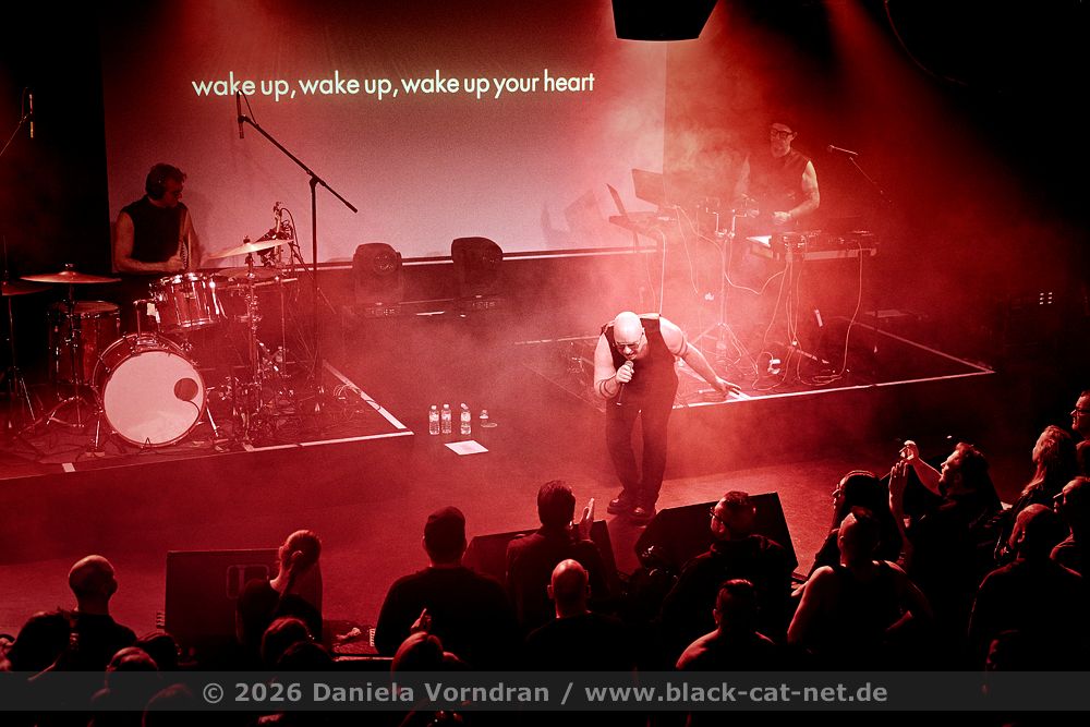 nitzer ebb intro NZ82090 klein