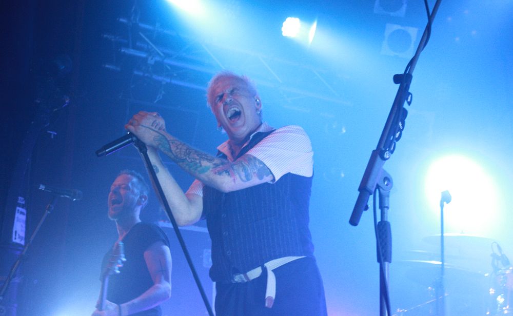 universum25 byIrynaKalenska05