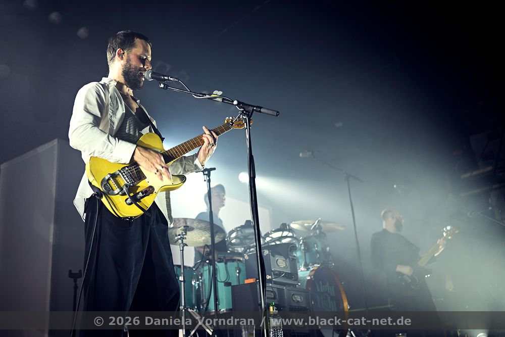 whitelies1 NZ89321 klein