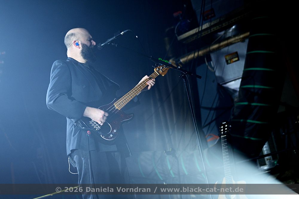 whitelies2 NZ89356 klein