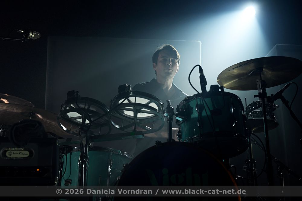 whitelies4 NZ89316 klein