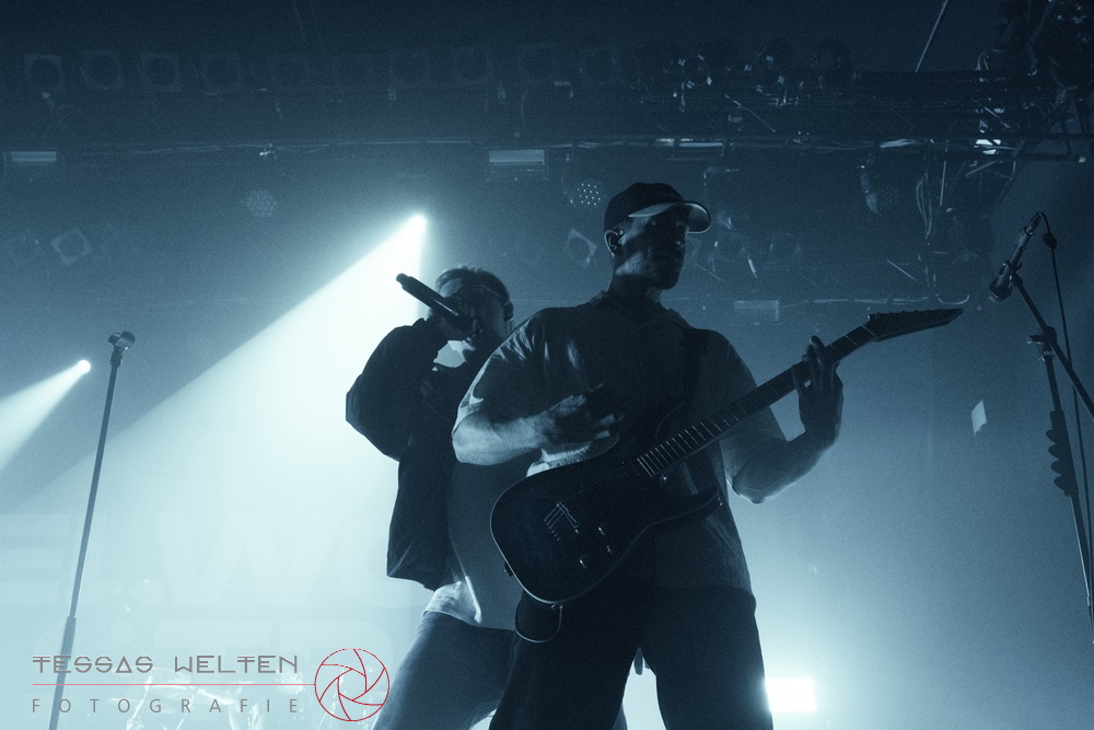 Elwood Stray Frankfurt 31 01 26 0014