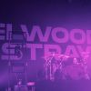 Elwood_Stray_Frankfurt_31_01_26_0001