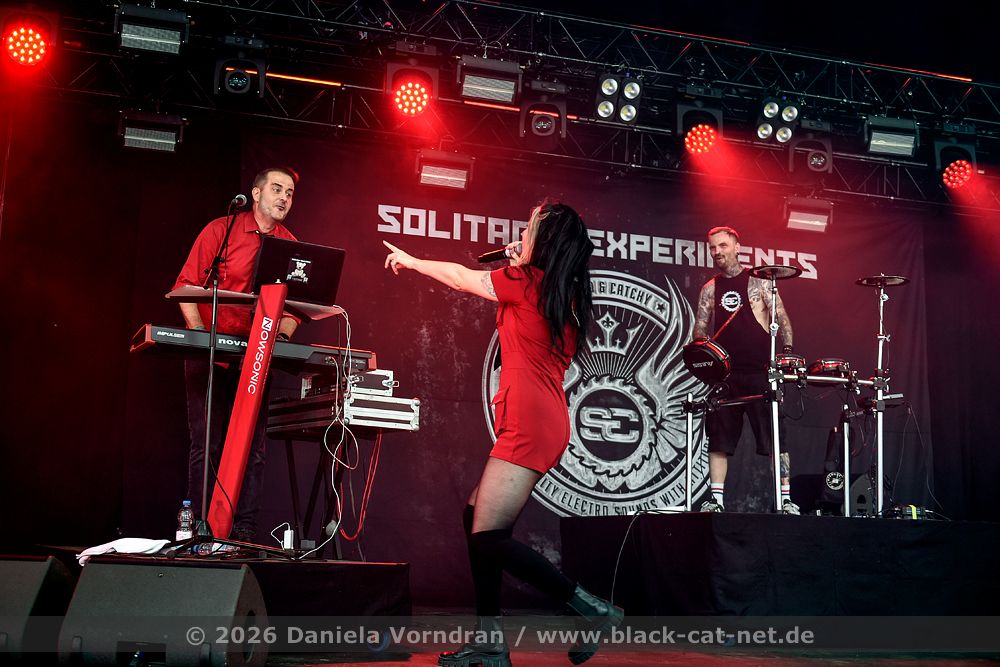 solitaryexperiments6 D4S5533 klein