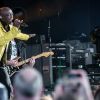 Seal_Cologne_2026_21_von_40