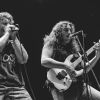 MJ_2026-06-07_Drain-14