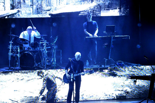 MidgeUre2