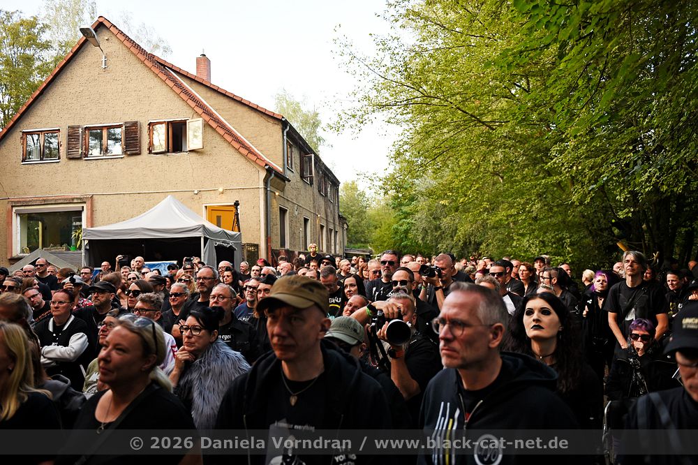 impression D4S0741 klein