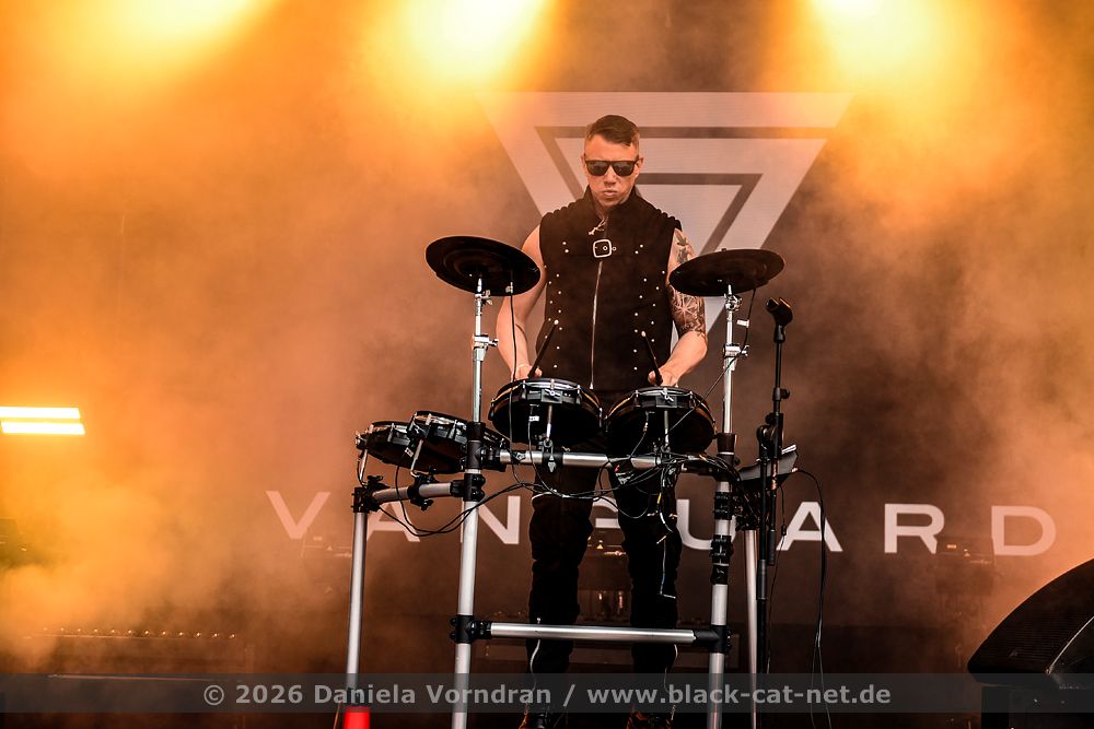 vanguard D4S9121 klein