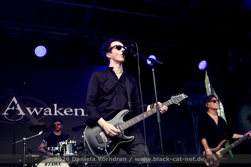 awakening D4S9677 klein