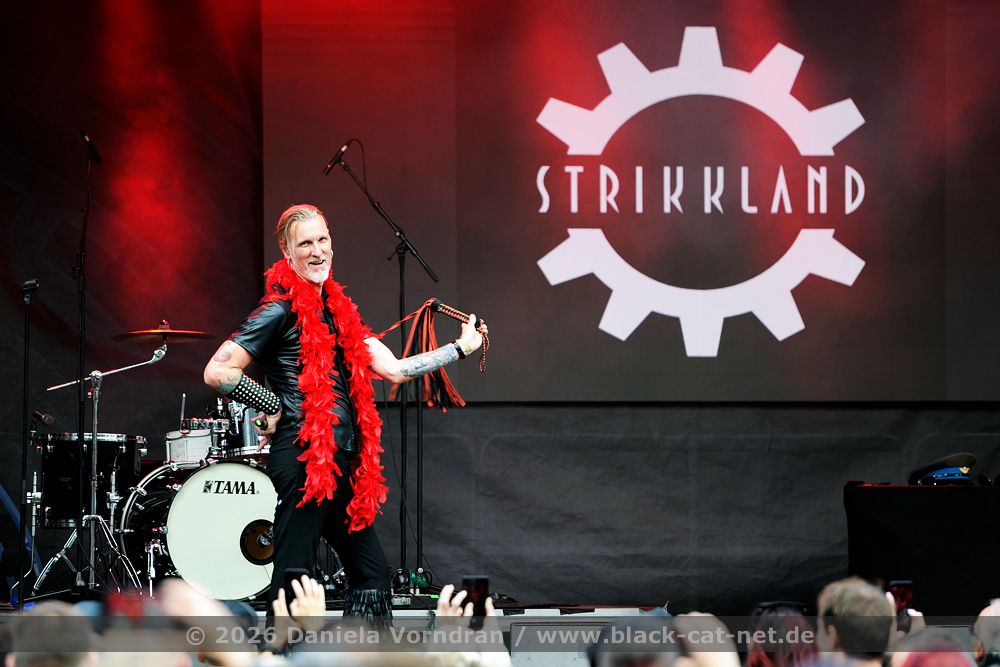 strikkland D3S1378 klein