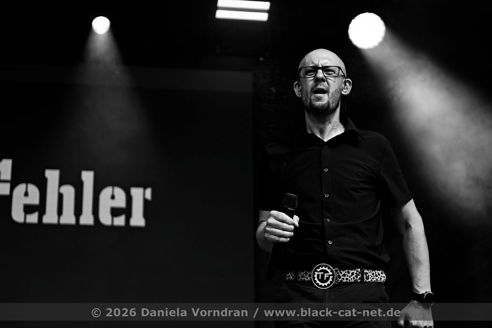 tonfehler D4S9409 klein