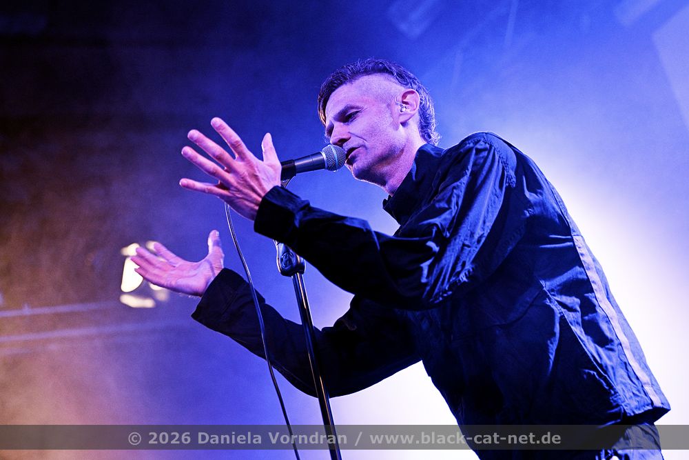 diorama1 live2026 NZ82768 klein