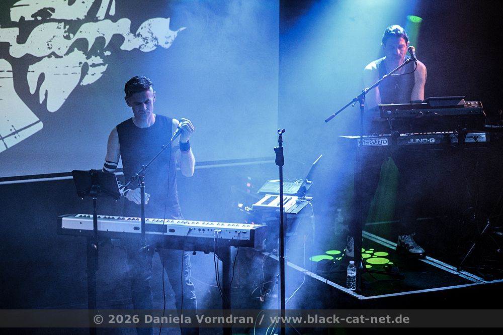 diorama5 live2026 NZ82951 klein