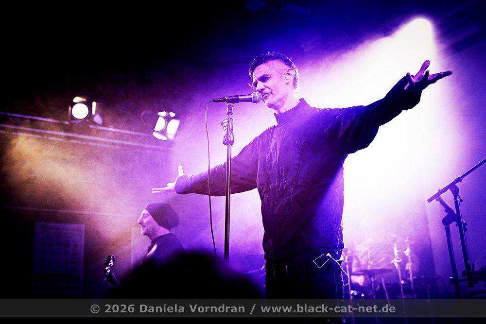 diorama live2026 intro NZ82762 klein