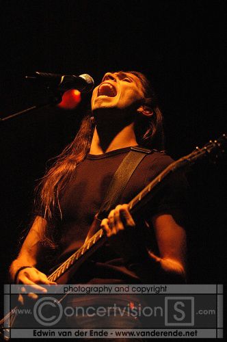 olddeadtree2004laloco009.jpg olddeadtree2004laloco009.jpg