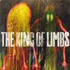 radiohead__kingoflimbs