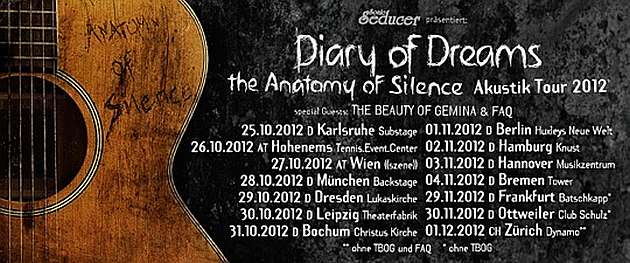 dod acoustictour banner