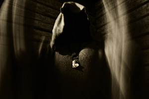 arckanum promo2013