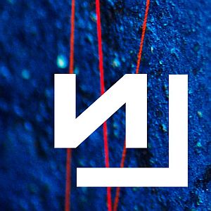 nin logo2013