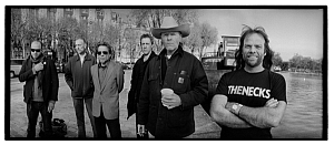 swans