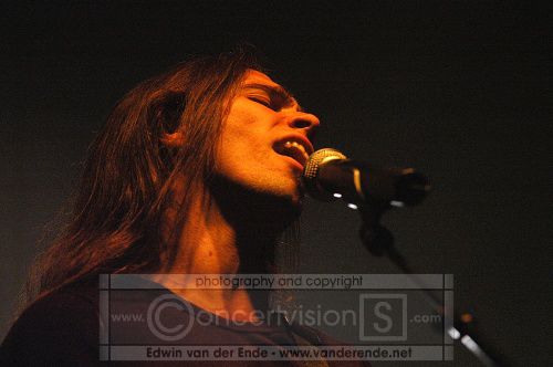 olddeadtree2004laloco087.jpg olddeadtree2004laloco087.jpg